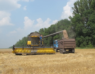 Українська пшениця тіснить конкурентів на ринку Філіппін